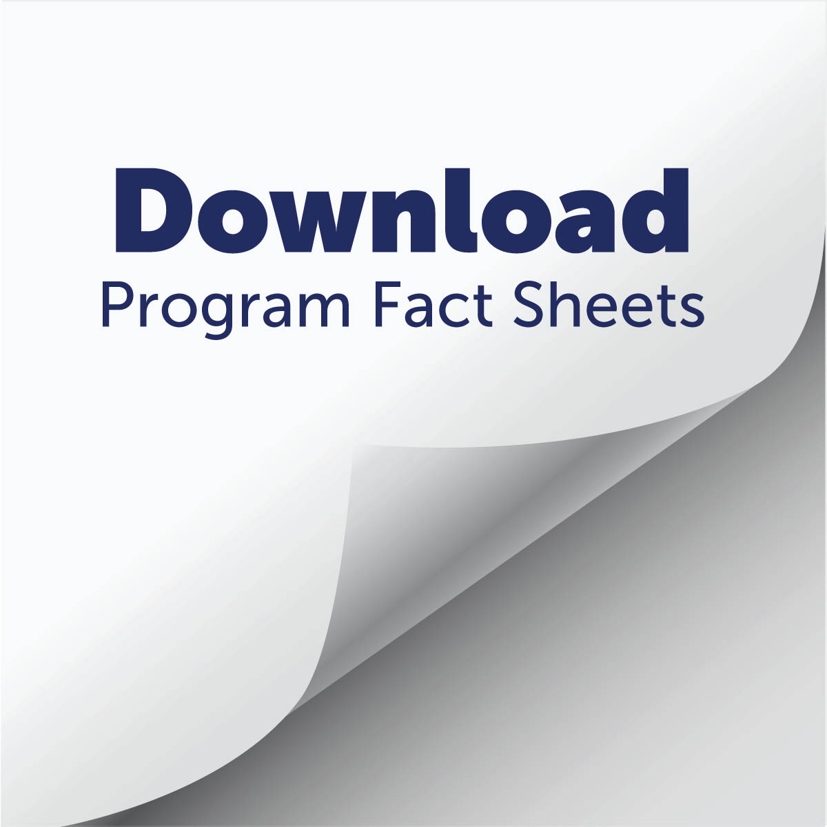 Fact Sheets 